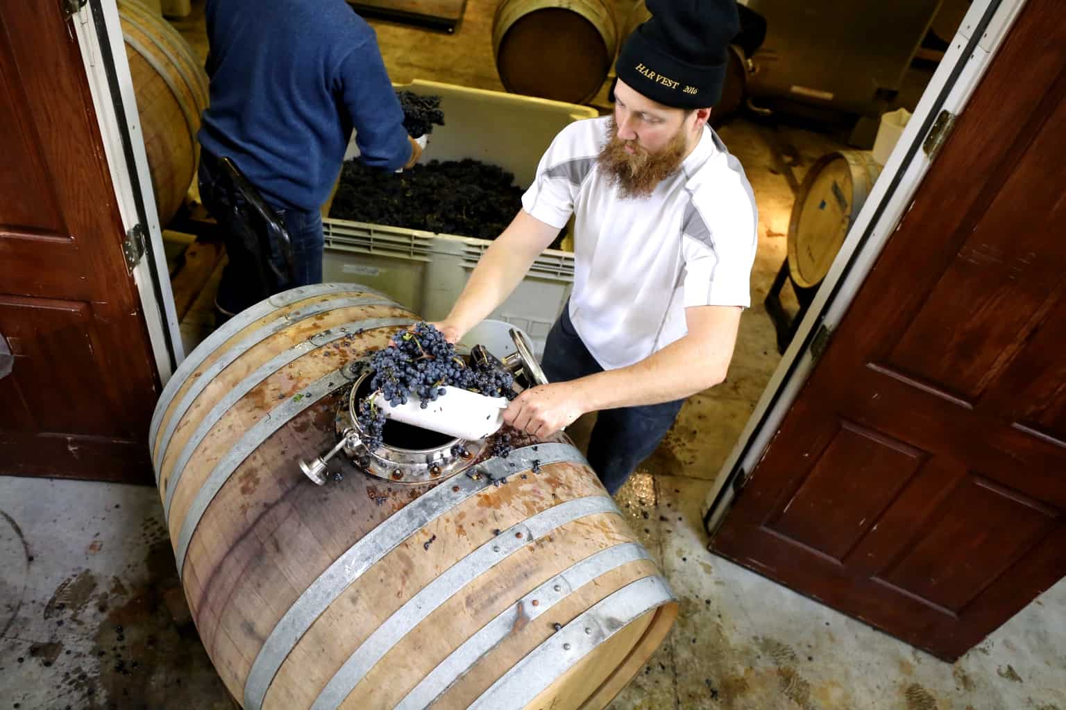 Rotator barrel winemaking with Alex Fullerton filling barrel
