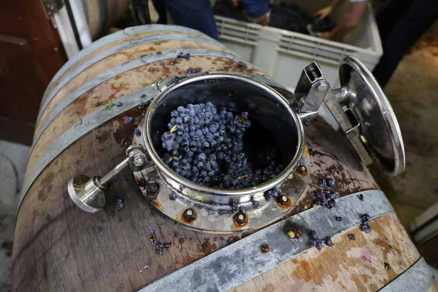 Rotator Barrel winemaking with whole cluster Pinot Noir