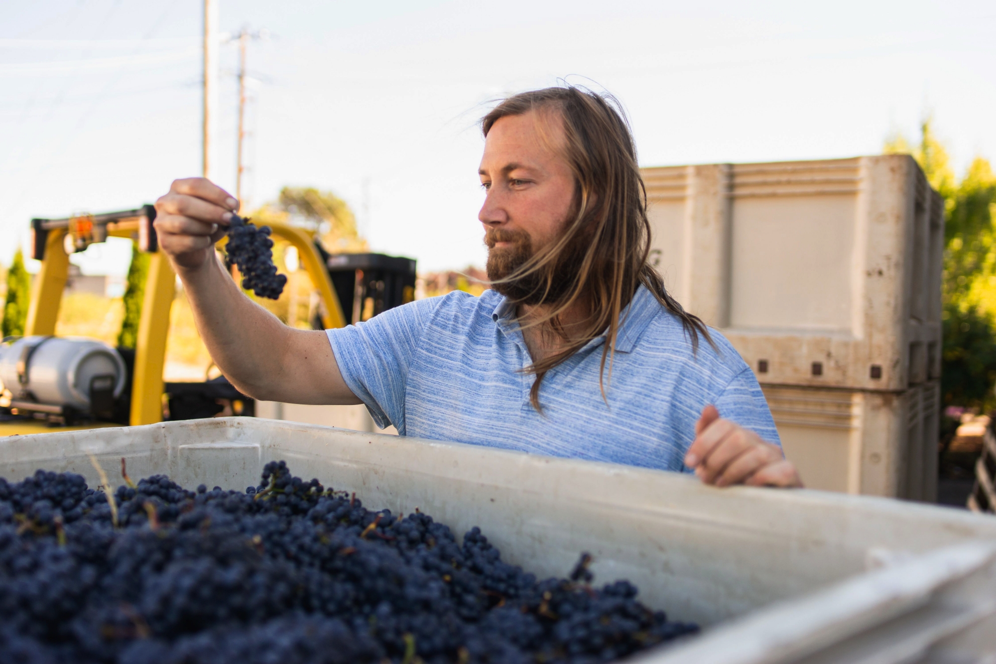 The Oregon winery crafting single vineyard Pinot Noirs from every AVA in the Willamette Valley