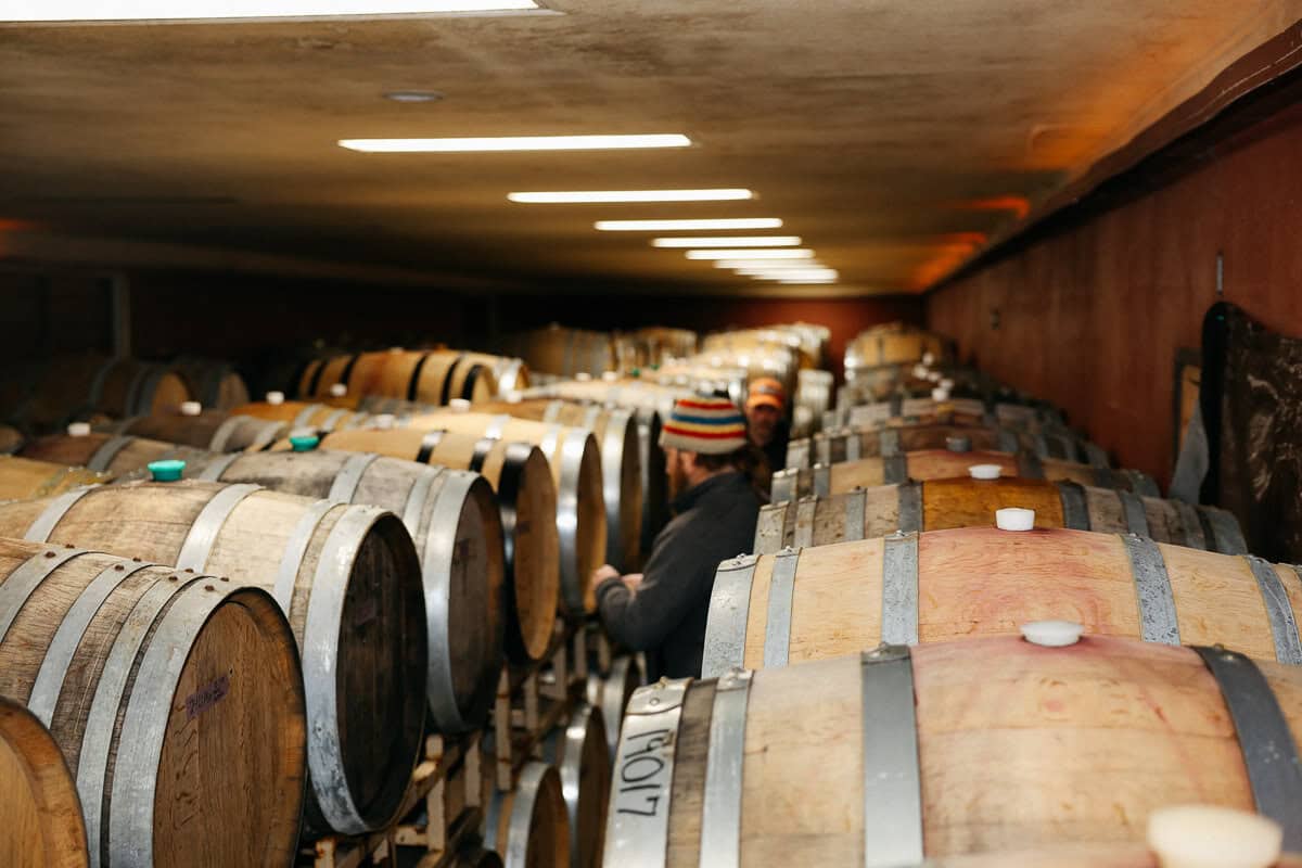 November Pickup Party